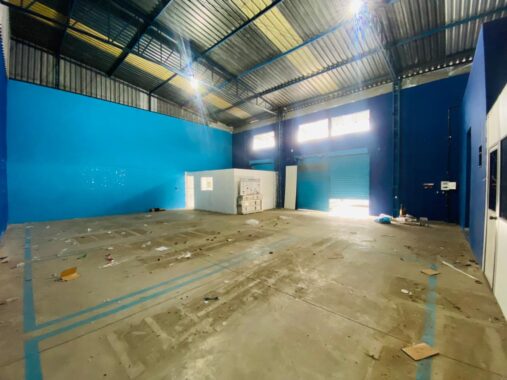 WhatsApp Image 2026-01-06 at 11.27.13